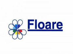 Floare